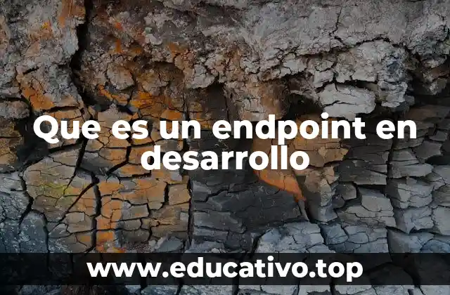 Que es un endpoint en desarrollo