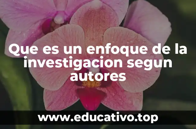 Que es un enfoque de la investigacion segun autores