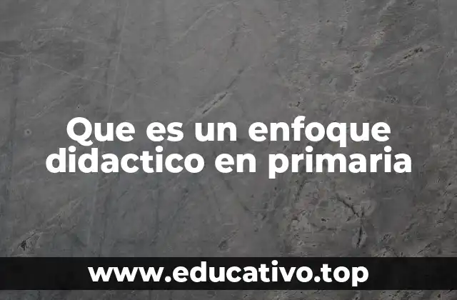Que es un enfoque didactico en primaria