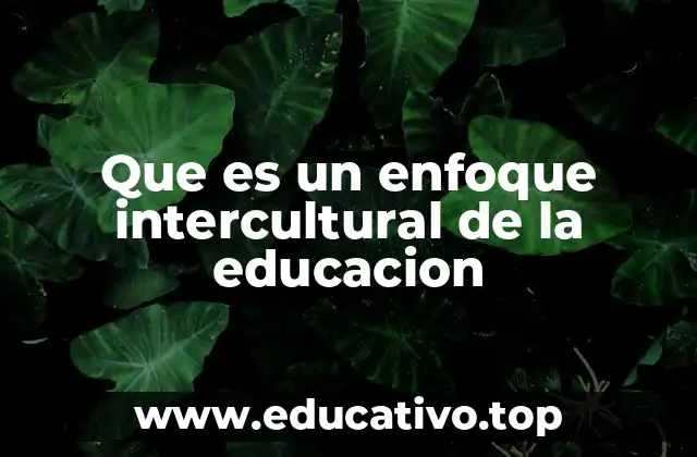 Que es un enfoque intercultural de la educacion