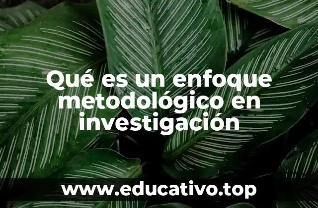 Qué es un enfoque metodológico en investigación