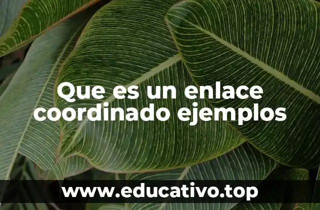 Que es un enlace coordinado ejemplos