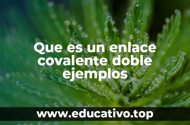 Que es un enlace covalente doble ejemplos