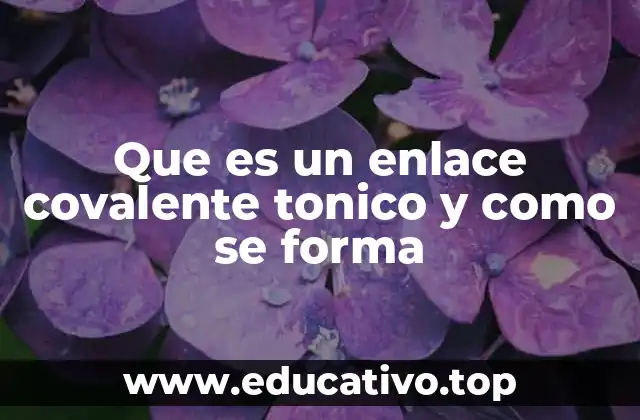 Que es un enlace covalente tonico y como se forma