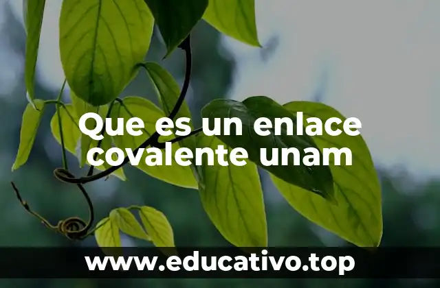 Que es un enlace covalente unam