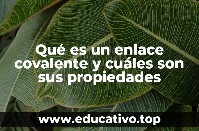 Qué es un enlace covalente y cuáles son sus propiedades
