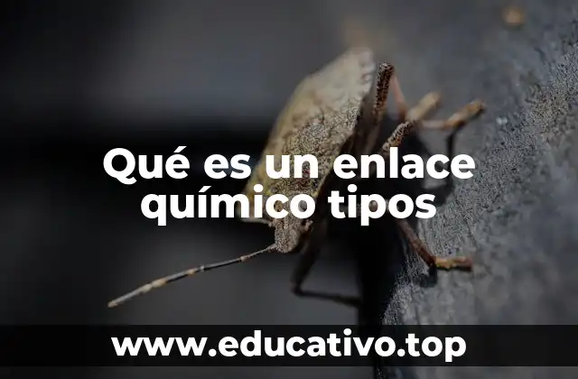 Qué es un enlace químico tipos