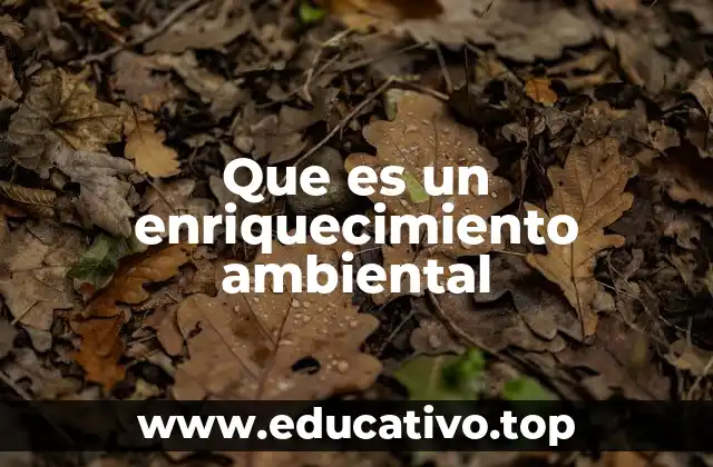 Que es un enriquecimiento ambiental