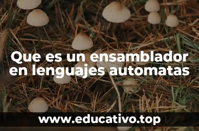 Que es un ensamblador en lenguajes automatas