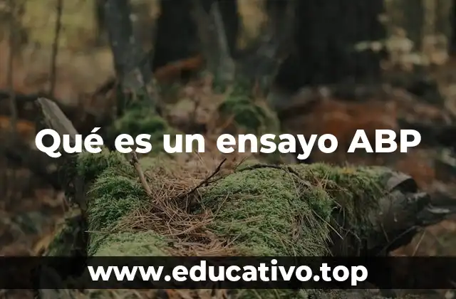 Qué es un ensayo ABP