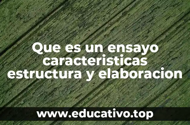 Que es un ensayo caracteristicas estructura y elaboracion