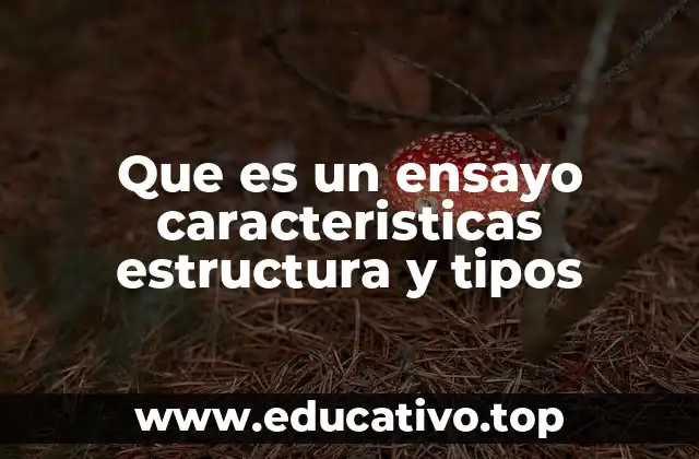 Que es un ensayo caracteristicas estructura y tipos