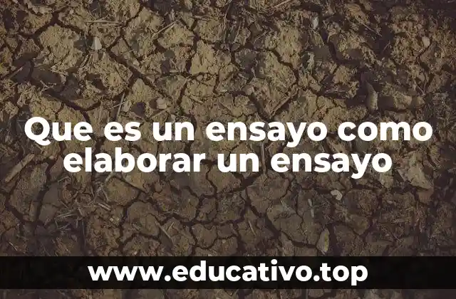 Que es un ensayo como elaborar un ensayo