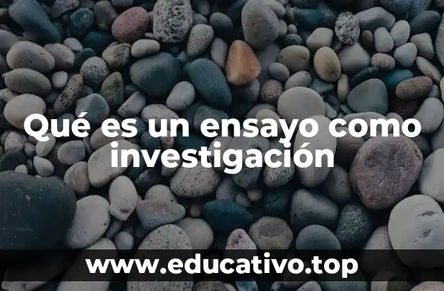 Qué es un ensayo como investigación