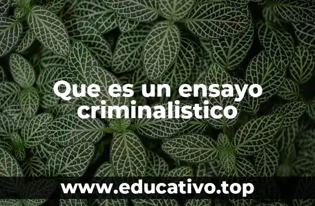Que es un ensayo criminalistico