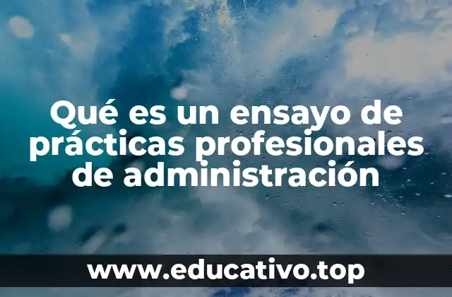 Qué es un ensayo de prácticas profesionales de administración