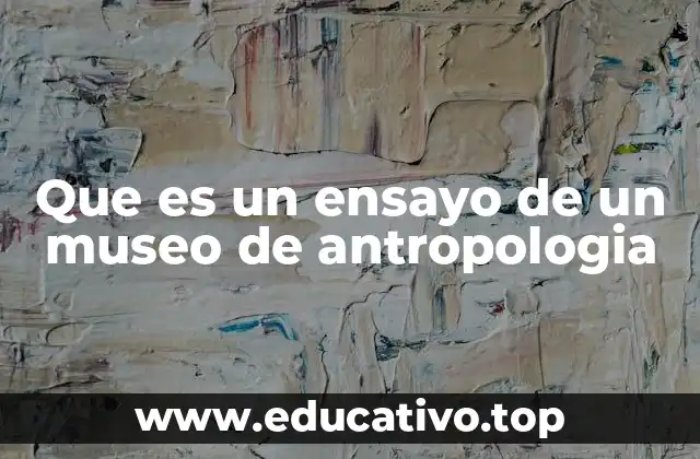 Que es un ensayo de un museo de antropologia