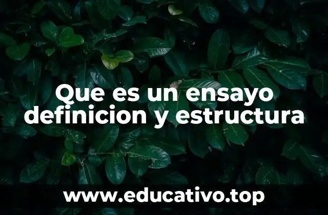 Que es un ensayo definicion y estructura
