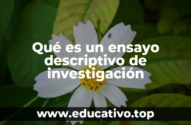 Qué es un ensayo descriptivo de investigación