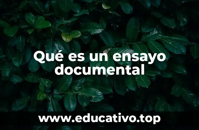 Qué es un ensayo documental