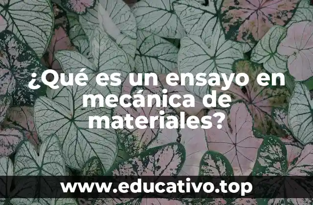 ¿Qué es un ensayo en mecánica de materiales?