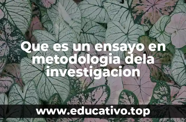 Que es un ensayo en metodologia dela investigacion