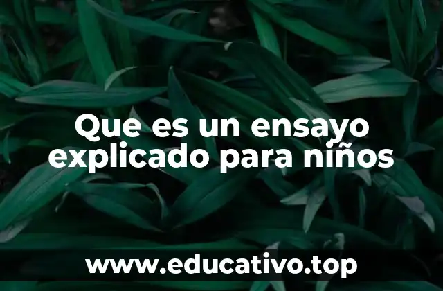 Que es un ensayo explicado para niños