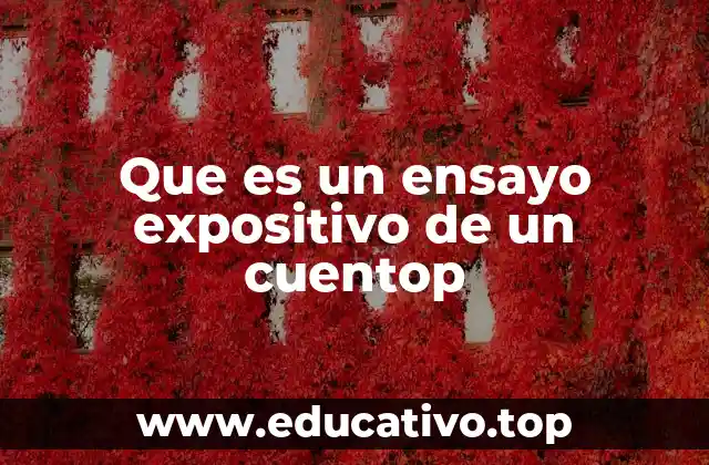 Que es un ensayo expositivo de un cuentop