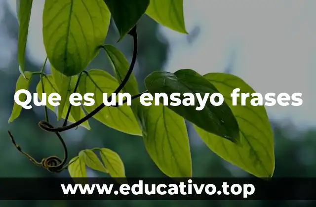 Que es un ensayo frases