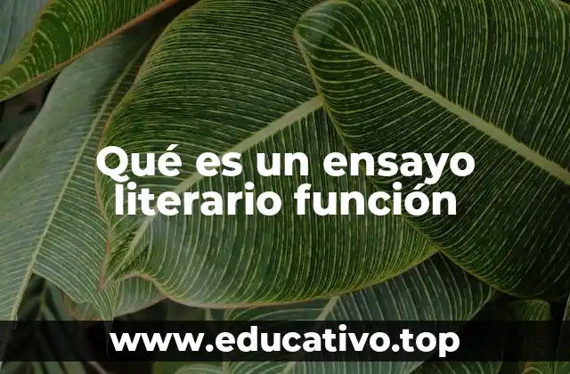 Qué es un ensayo literario función