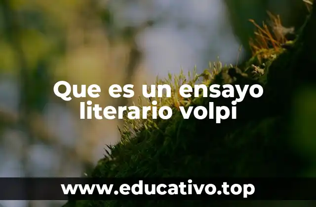 Que es un ensayo literario volpi