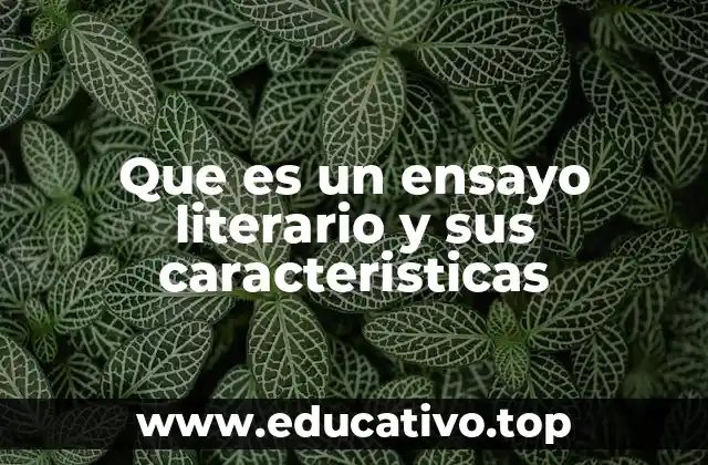 Que es un ensayo literario y sus caracteristicas