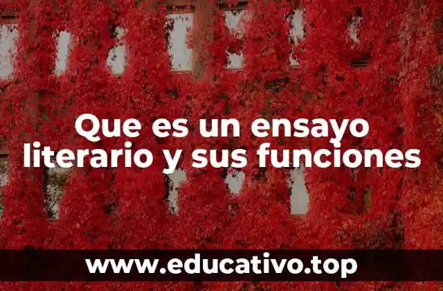 El ensayo como puente entre el pensamiento y la creatividad