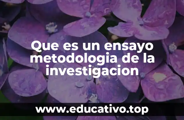 Que es un ensayo metodologia de la investigacion