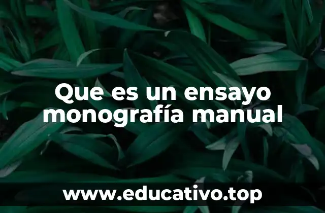 Que es un ensayo monografía manual