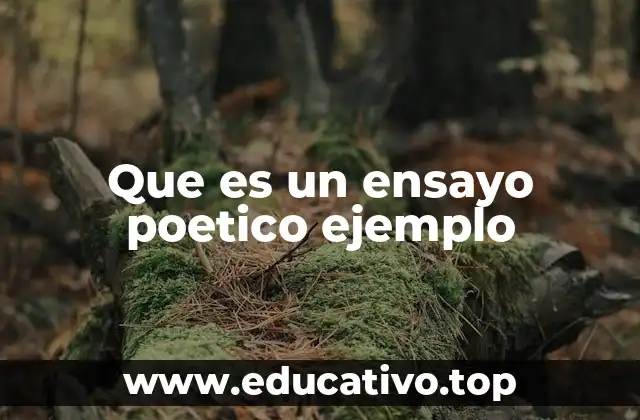 Que es un ensayo poetico ejemplo