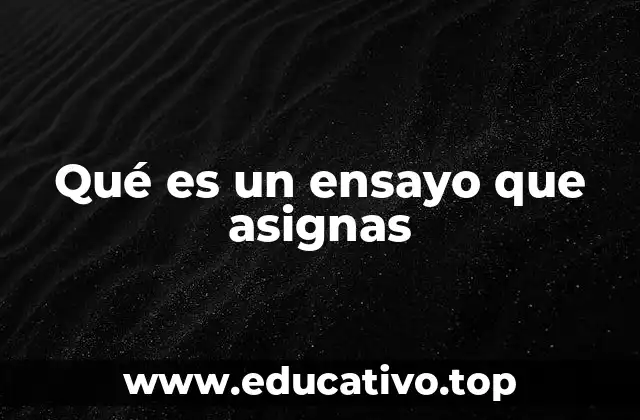 Qué es un ensayo que asignas