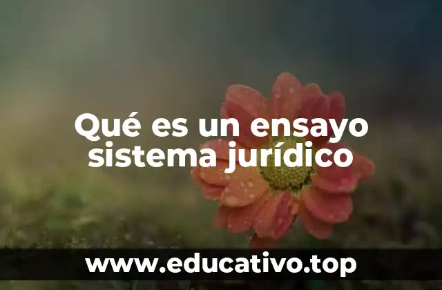 Qué es un ensayo sistema jurídico