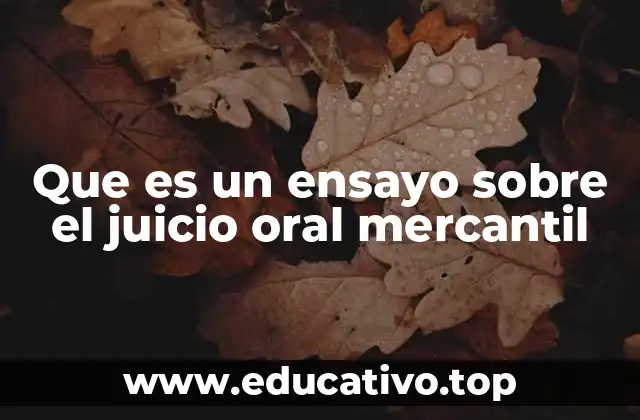 Que es un ensayo sobre el juicio oral mercantil