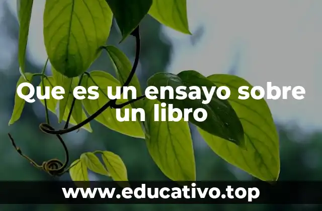 Que es un ensayo sobre un libro