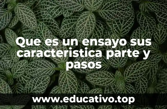 Que es un ensayo sus caracteristica parte y pasos