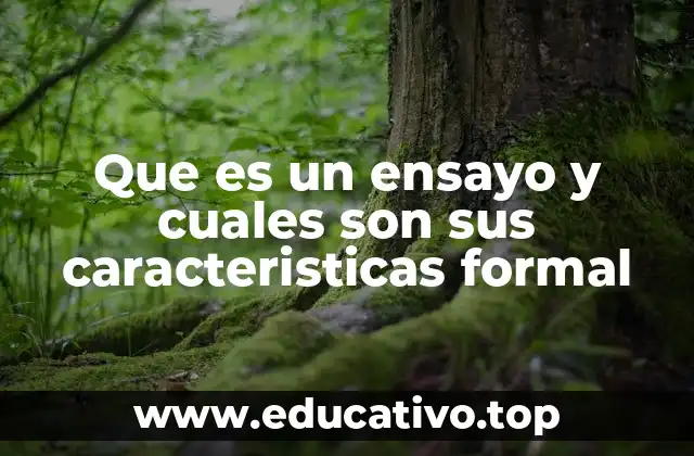 Que es un ensayo y cuales son sus caracteristicas formal