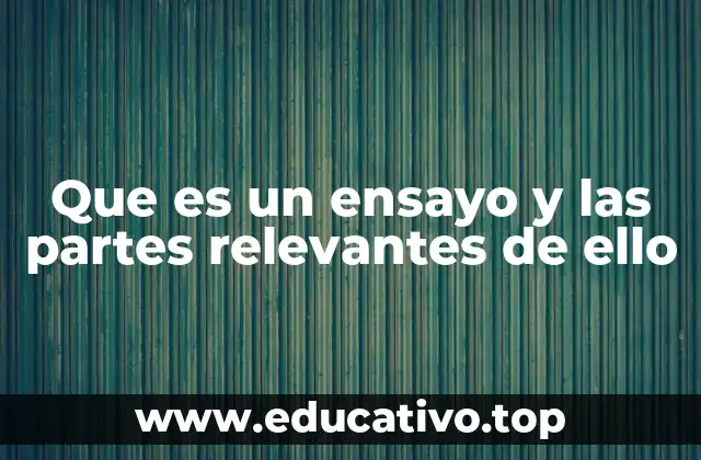 Que es un ensayo y las partes relevantes de ello