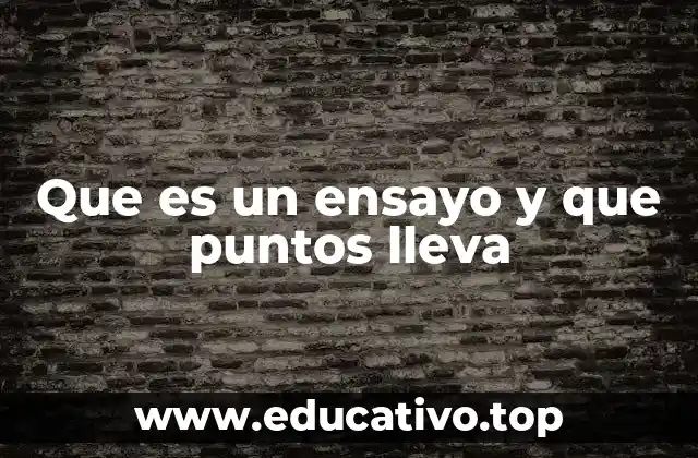 Que es un ensayo y que puntos lleva