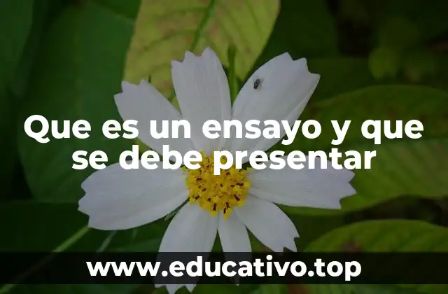 Que es un ensayo y que se debe presentar
