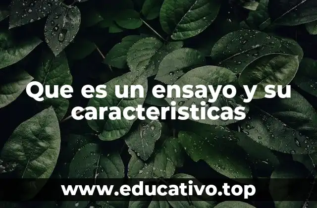 Que es un ensayo y su caracteristicas