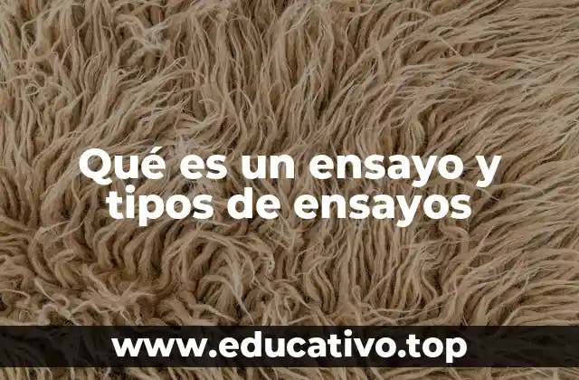 Qué es un ensayo y tipos de ensayos