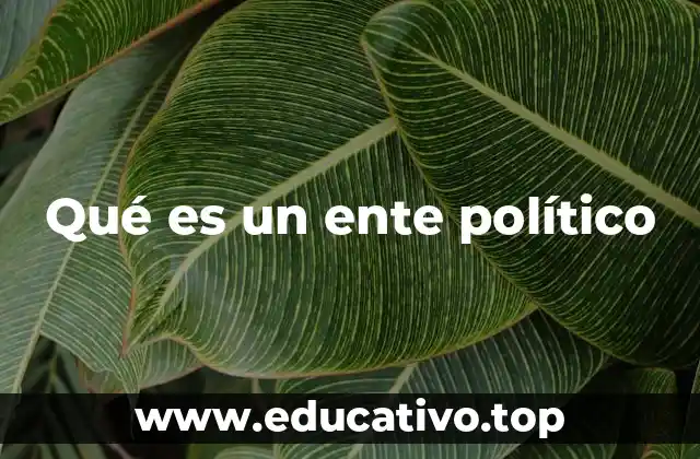 Qué es un ente político