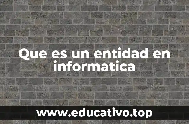 Que es un entidad en informatica