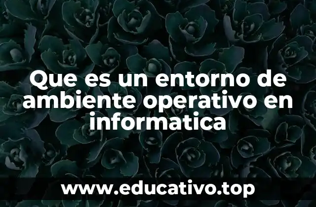 Que es un entorno de ambiente operativo en informatica